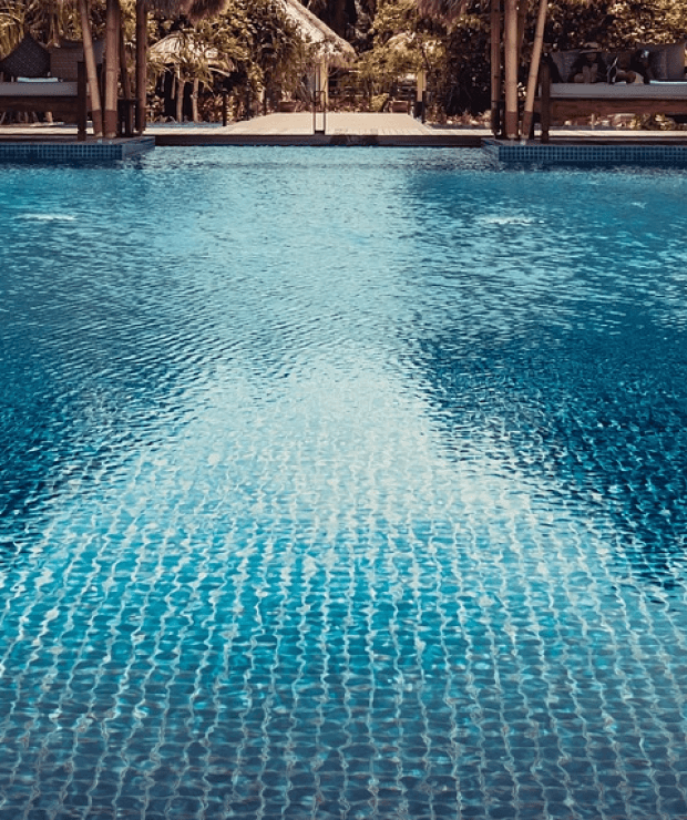 Lekki One Day Adventure Tour (Beach, Nature Park & Art Gallery)